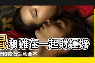 【老鼠雞年做什麼生意好】鼠和雞在一起財運好嗎鼠和雞做生意合不合財 |屬鼠做什麼生意好 |屬鼠人適合什麼職業和工作 |