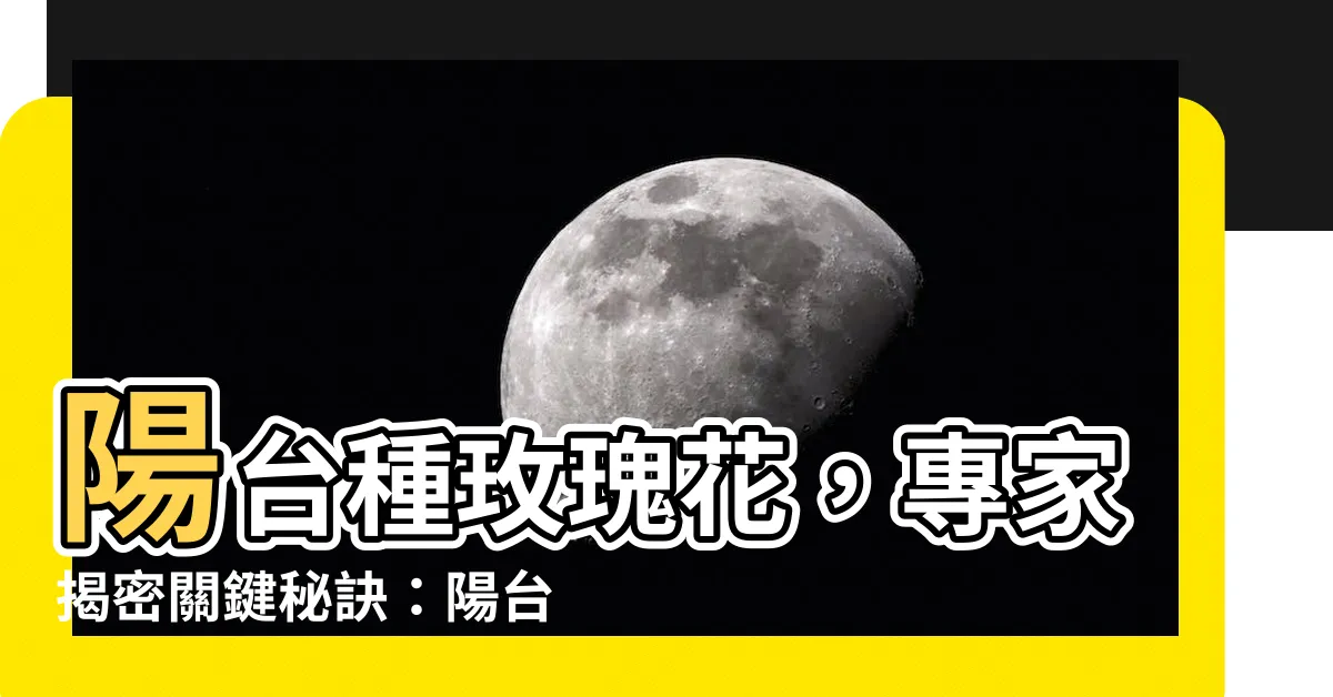 【陽台可以種玫瑰花嗎】陽台種玫瑰花，專家揭密關鍵秘訣：陽台可以種玫瑰花嗎？