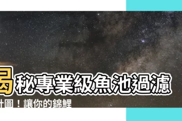 【魚池過濾設計】揭秘專業級魚池過濾設計圖！讓你的錦鯉樂翻天！