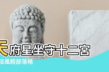 【夫妻宮天府】天府星坐守十二宮 |雲淡風輕部落格 |問題一可否解釋天府星在夫妻宮的感情模式 |
