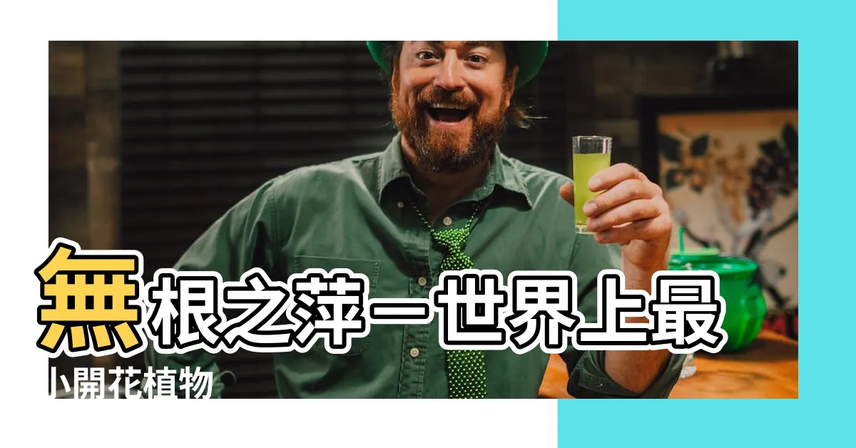 【無根之萍】無根之萍－世界上最小開花植物