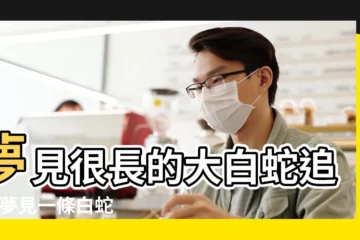【做夢夢到很長的白蛇】夢見很長的大白蛇追我 |夢見一條白蛇預示什麼 |求高人指點 |