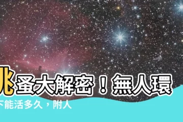 【跳蚤存活時間】跳蚤大解密！無人環境下能活多久，附人體上的驚人存活時間
