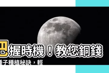 【銅錢草種子】把握時機！教您銅錢草種子種植秘訣，輕鬆打造綠色天堂