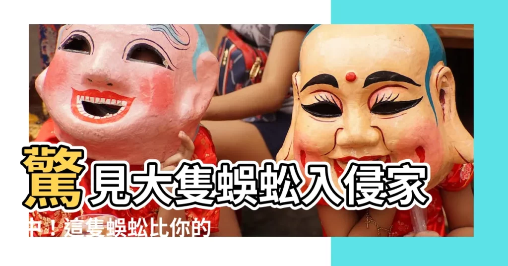 【大隻蜈蚣】驚見大隻蜈蚣入侵家中！這隻蜈蚣比你的手還長！