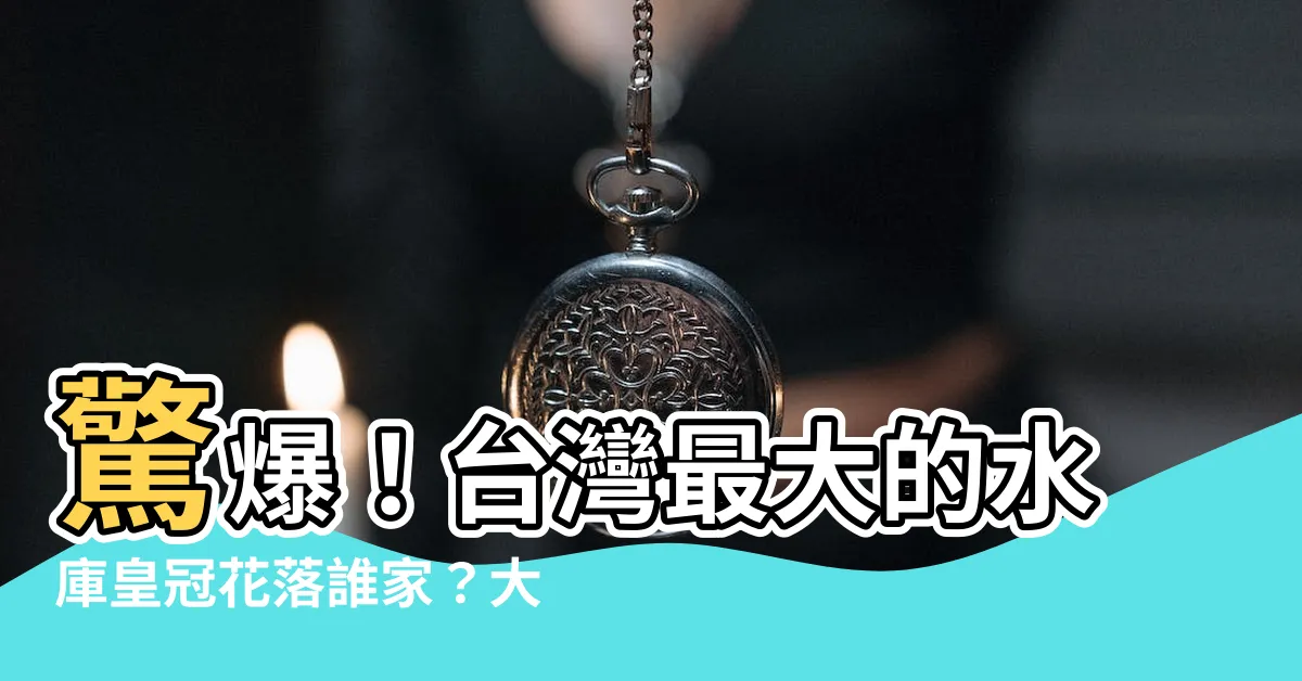 【大小水庫】驚爆！台灣最大的水庫皇冠花落誰家？大小水庫秘辛大公開！
