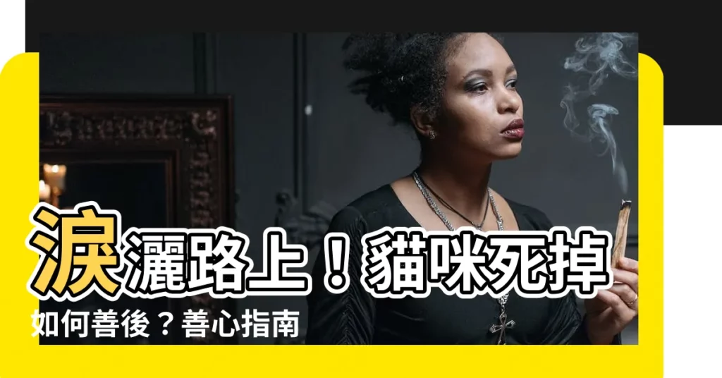 【貓咪死掉如何處理】淚灑路上！貓咪死掉如何善後？善心指南指引你圓滿小天使最後一程
