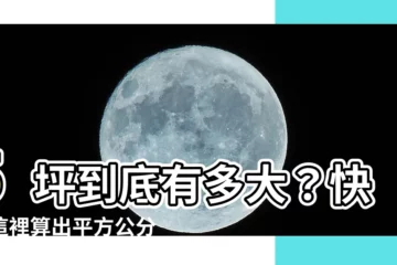 【5坪多大公分】5坪到底有多大？快來這裡算出平方公分數！