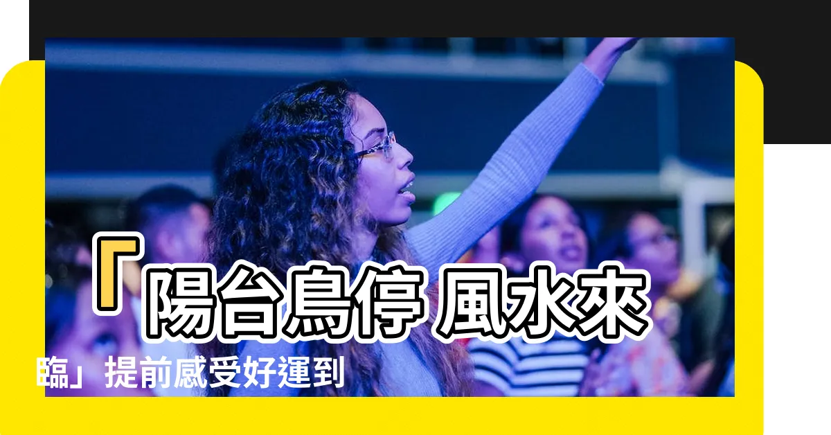 【鳥 停在陽台風水】「陽台鳥停 風水來臨」提前感受好運到？