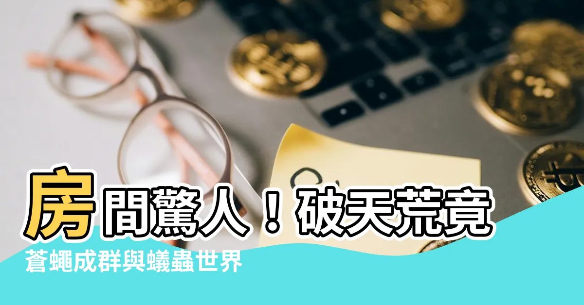 【房間莫名其妙有螞蟻風水】房間驚人！破天荒竟蒼蠅成羣與蟻蟲世界同居一室！