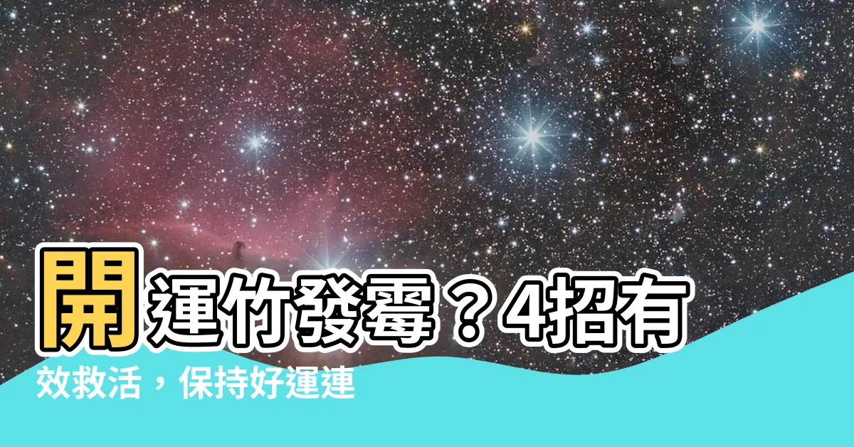 【開運竹發黴】開運竹發黴？4招有效救活，保持好運連連！