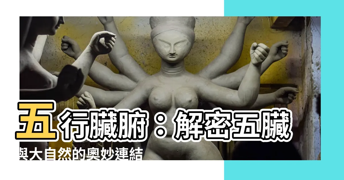 【五行臟腑】五行臟腑：解密五臟與大自然的奧妙連結