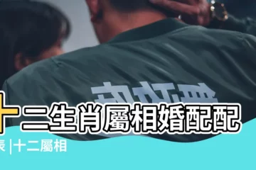 【十二生肖順序 配對】十二生肖屬相婚配配對表 |十二屬相 |12生肖排行順序對照表 |