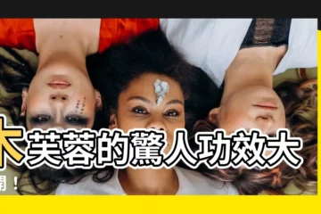 【木芙蓉功效】木芙蓉的驚人功效大公開！