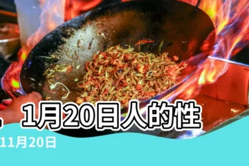 【11月20日】11月20日人的性格 |11月20日 |生日密碼11月20日 |