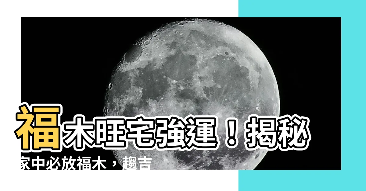 【福木可以放室內嗎】福木旺宅強運！揭秘家中必放福木，趨吉避兇、財運滾滾