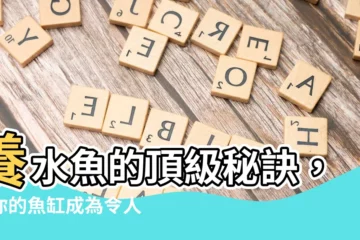 【養水魚】養水魚的頂級秘訣，讓你的魚缸成為令人驚嘆的水中奇觀！