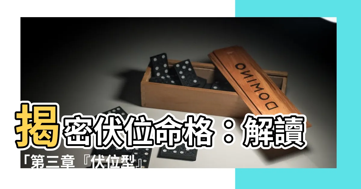 【伏位命格】揭密伏位命格：解讀「第三章『伏位型』數字磁場能量」