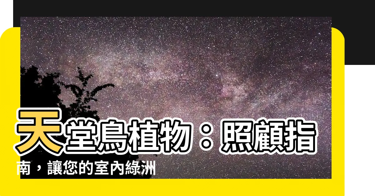 【天堂鳥植物】天堂鳥植物：照顧指南，讓您的室內綠洲煥發活力