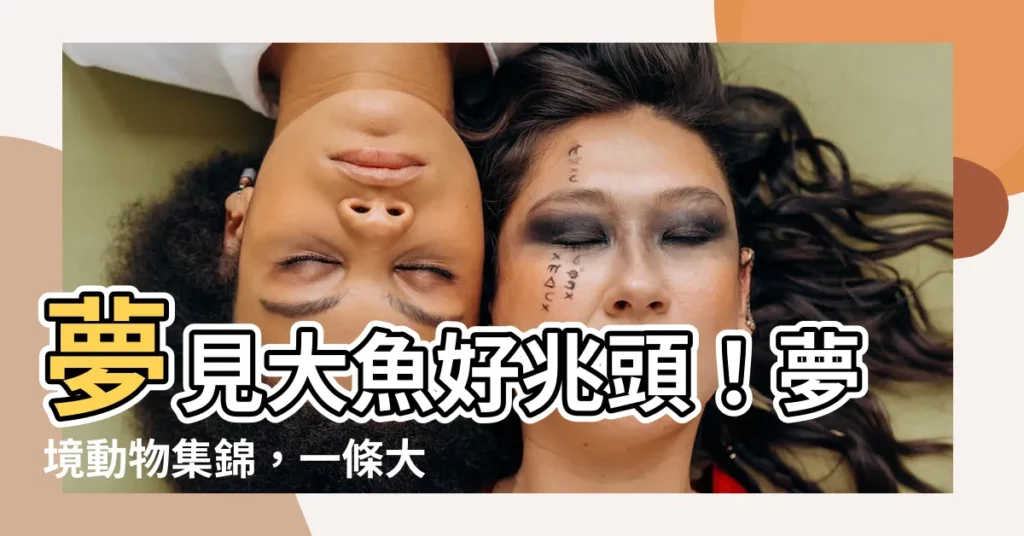 【夢見大魚】夢見大魚好兆頭！夢境動物集錦，一條大魚讓你財運發