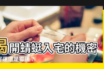 【蜻蜓入宅】揭開蜻蜓入宅的機密：好運還是黴運？