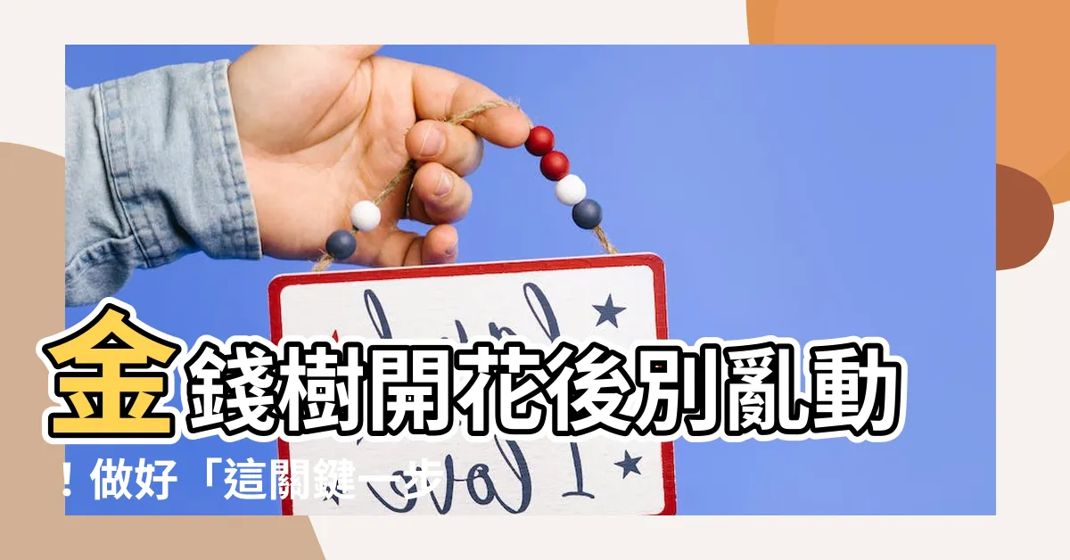【金錢樹開花後】金錢樹開花後別亂動！做好「這關鍵一步」，財運才會旺！