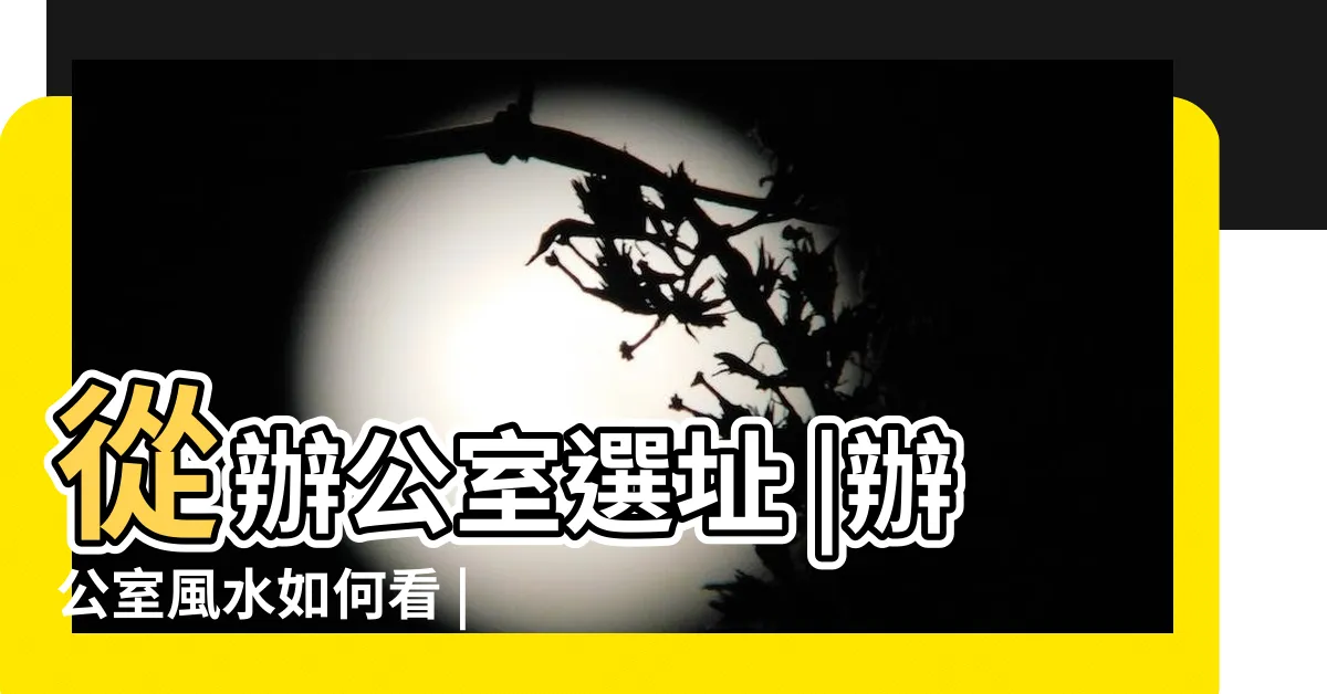 【座位風水】從辦公室選址 |辦公室風水如何看 |座位到擺設的旺財指南 |