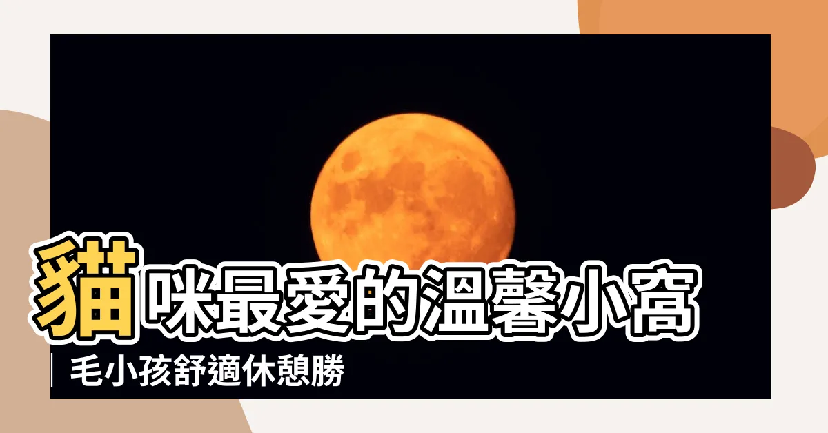 【貓貓窩】貓咪最愛的温馨小窩｜毛小孩舒適休憩勝地推薦