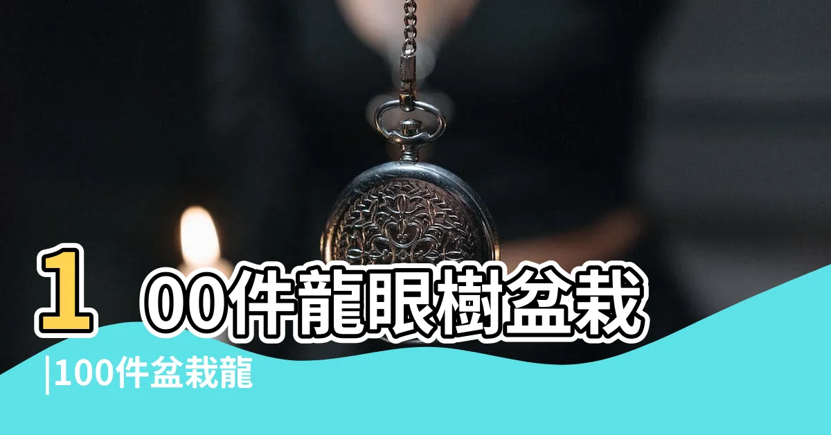 【龍眼樹盆栽】100件龍眼樹盆栽 |100件盆栽龍眼樹 |