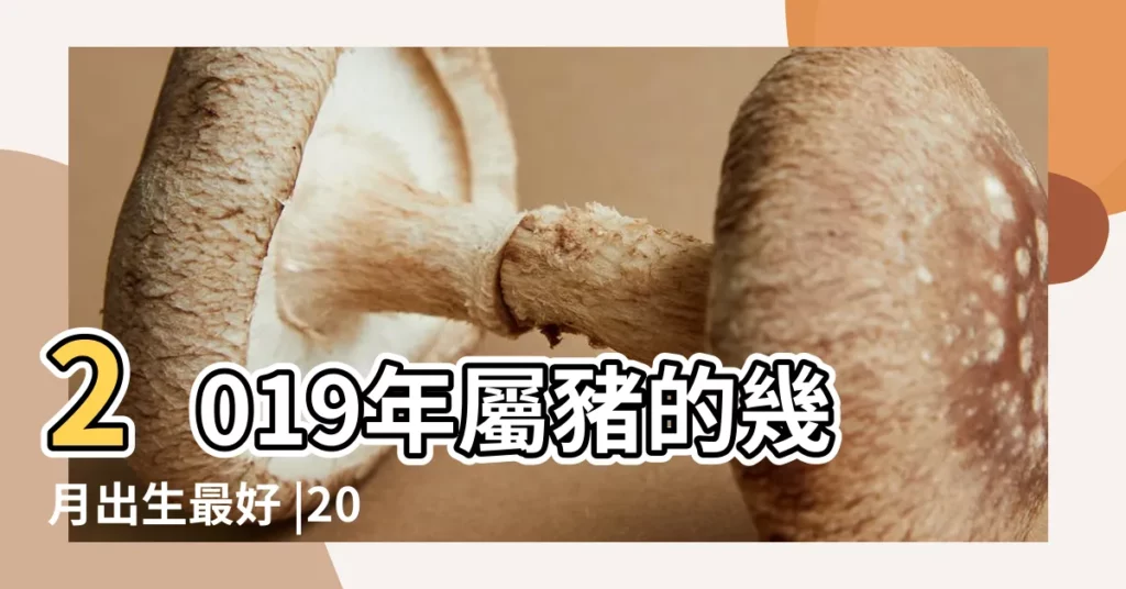 2019年屬豬的幾月出生最好 |2019年屬豬的男寶寶幾月出生最好命 |他們很幸福 |【屬豬男的2019年出生最好】