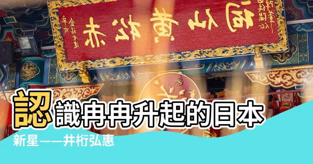 【井衍弘惠】認識冉冉升起的日本新星——井桁弘惠