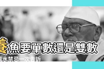 【養魚要單數還是雙數】養魚要單數還是雙數？風水禁忌一次告訴你！