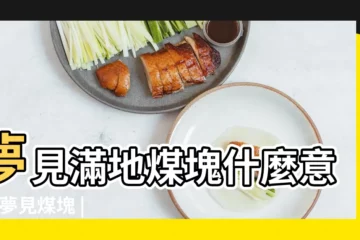 【周公解夢 夢見腳踩煤】夢見滿地煤塊什麼意思 |夢見煤塊 |夢到在煤堆上找鞋好不好 |