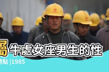 【85年處女座男生】屬牛處女座男生的性格特點 |1985年的處女座命運如何男女生性格分析 |屬牛85年處女座男人性格分析 |