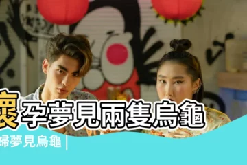 【孕期夢見兩個烏龜】懷孕夢見兩隻烏龜 |孕婦夢見烏龜 |搜索結果 |