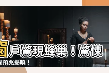 【窗户有蜂巢】窗户驚現蜂巢！驚悚怪異預兆揭曉！