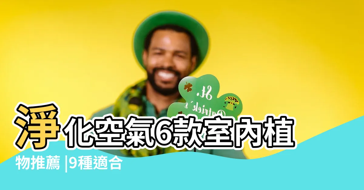 【卧室適合放什麼植物】淨化空氣6款室內植物推薦 |9種適合放在卧室的完美植物 |卧室放什麼植物好風水最好 |