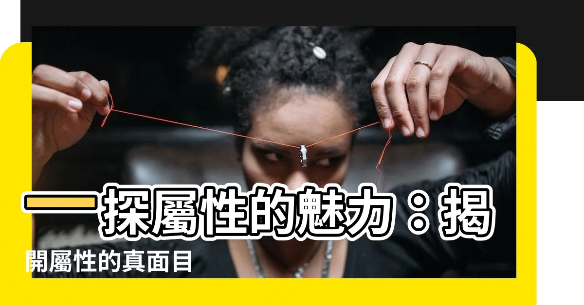 【屬性的意思】一探屬性的魅力：揭開屬性的真面目