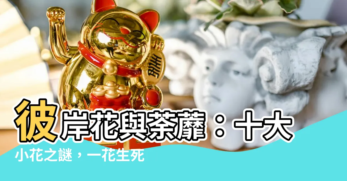 【彼岸花荼蘼花】彼岸花與荼蘼：十大小花之謎，一花生死輪迴，一花絕美華麗