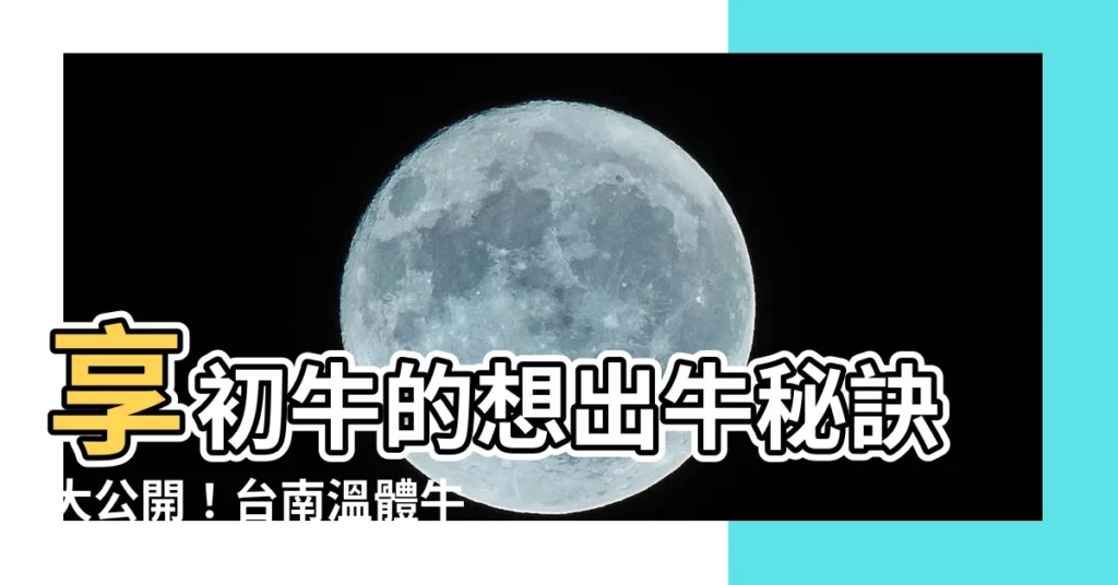 【想出牛】享初牛的想出牛秘訣大公開！台南温體牛新店總店超美味