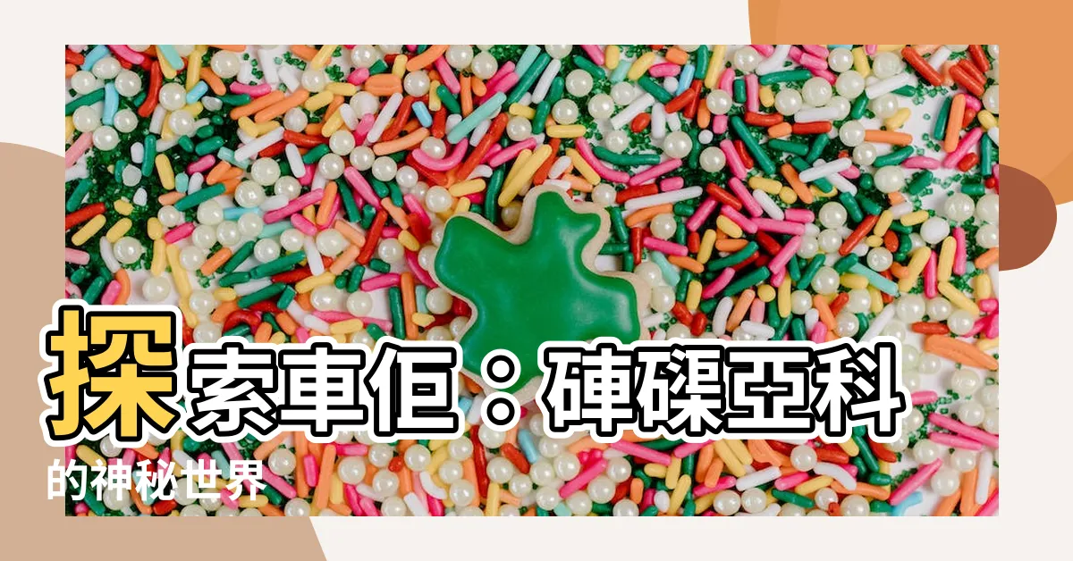 【車佢】探索車佢：硨磲亞科的神秘世界