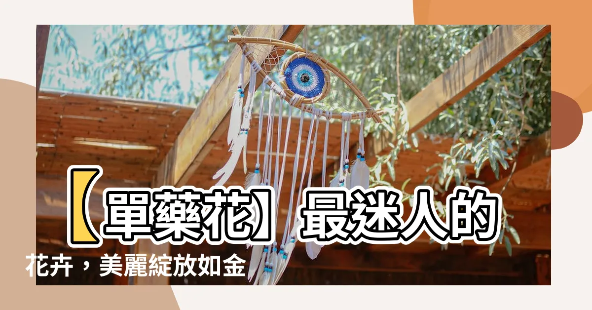 【單藥花】【單藥花】最迷人的花卉，美麗綻放如金脈