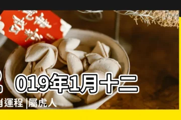 【2019屬虎1月運勢】2019年1月十二生肖運程 |屬虎人2019年1月運勢及運程 |雲文子提醒小心愛情波折兼破財 |