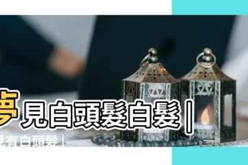 【原版周公解夢 白頭髮】夢見白頭髮白髮 |夢見有白頭髮 |