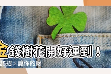 【金錢樹花】金錢樹花開好運到！輕鬆5招，讓你的財運滿開！