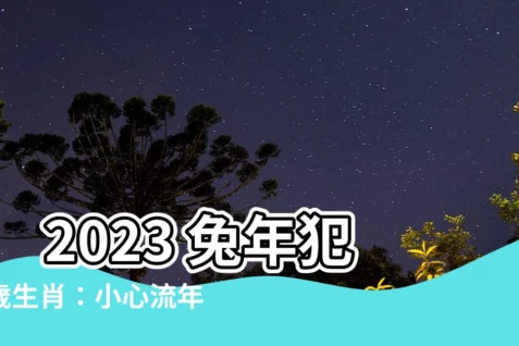 【未年生】 2023 兔年犯太歲生肖:小心流年不利,趨吉避兇看這裡!