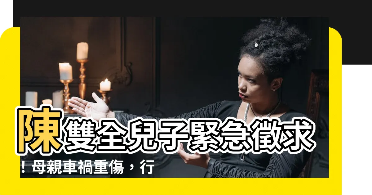 【陳雙全兒子】陳雙全兒子緊急徵求！母親車禍重傷，行車紀錄器是關鍵