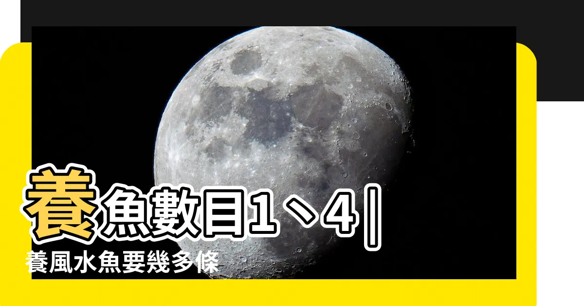 【風水養魚數量】養魚數目1丶4 |養風水魚要幾多條 |三界五行 |