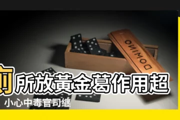 【廁所放黃金葛作用】廁所放黃金葛作用超強！小心中毒官司纏身！