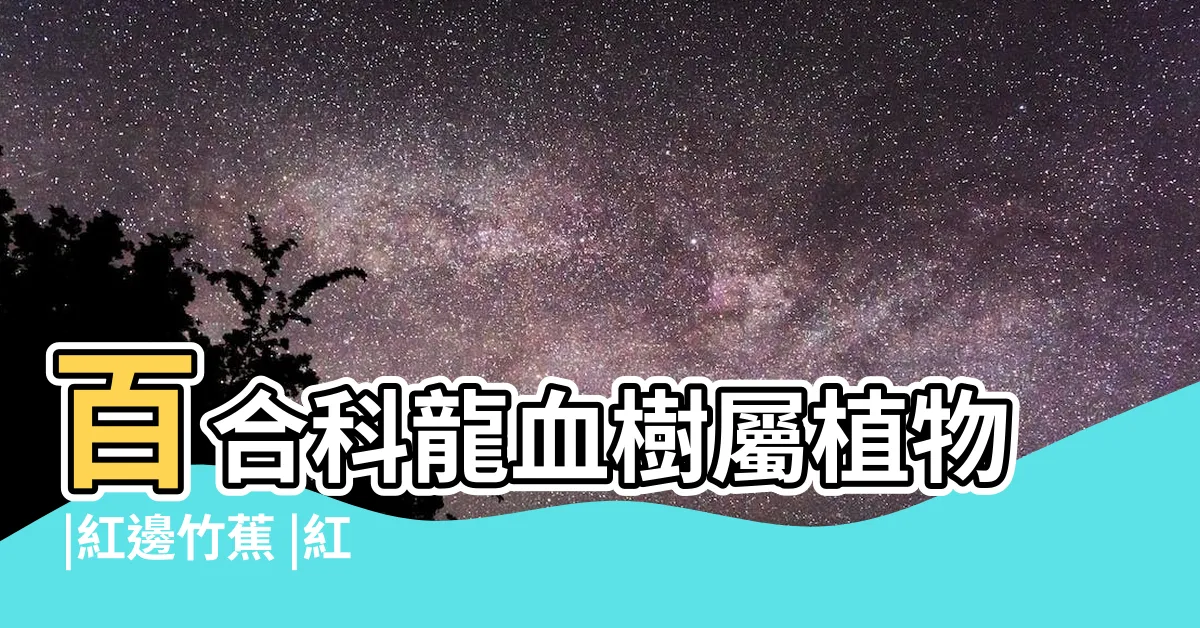 【紅邊竹蕉照顧】百合科龍血樹屬植物 |紅邊竹蕉 |紅邊竹蕉的養殖方法 |